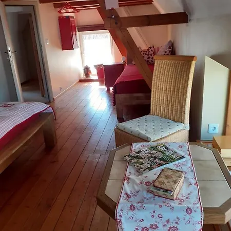 Kunterbunt Langenwetzendorf